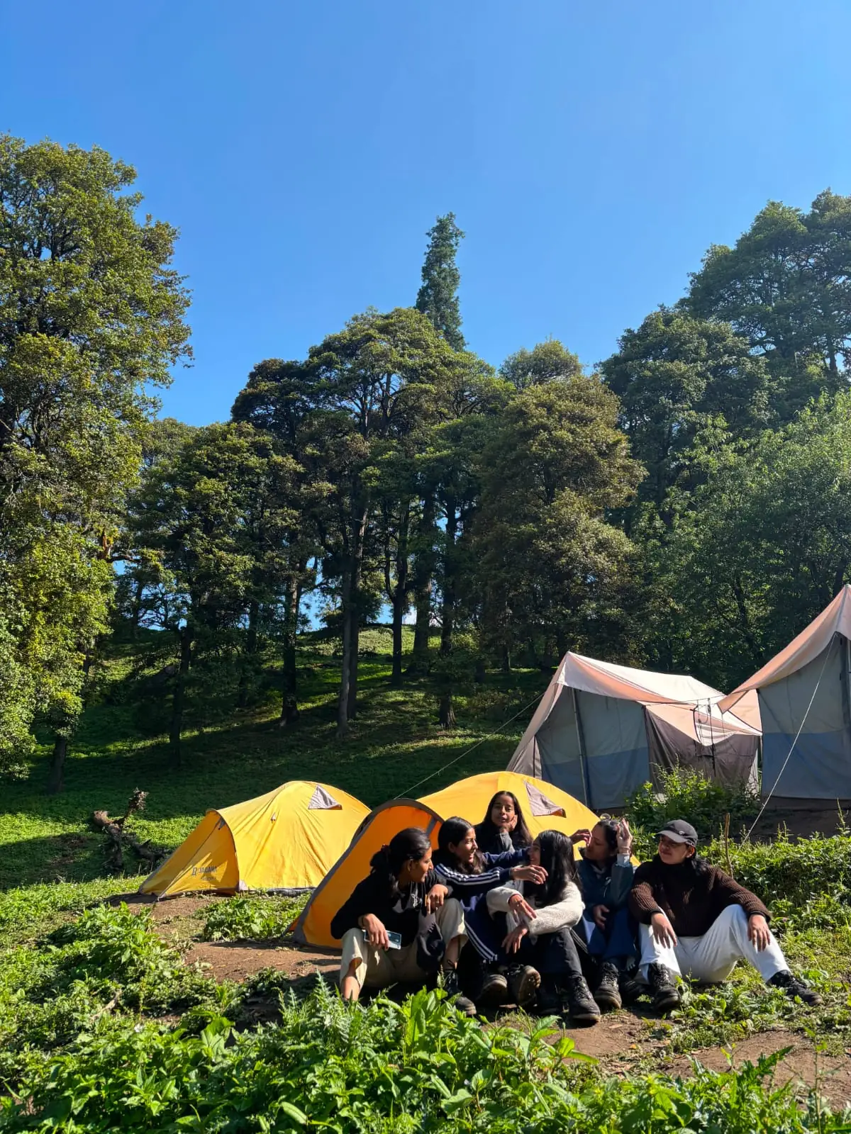 Two Nights Under the Stars