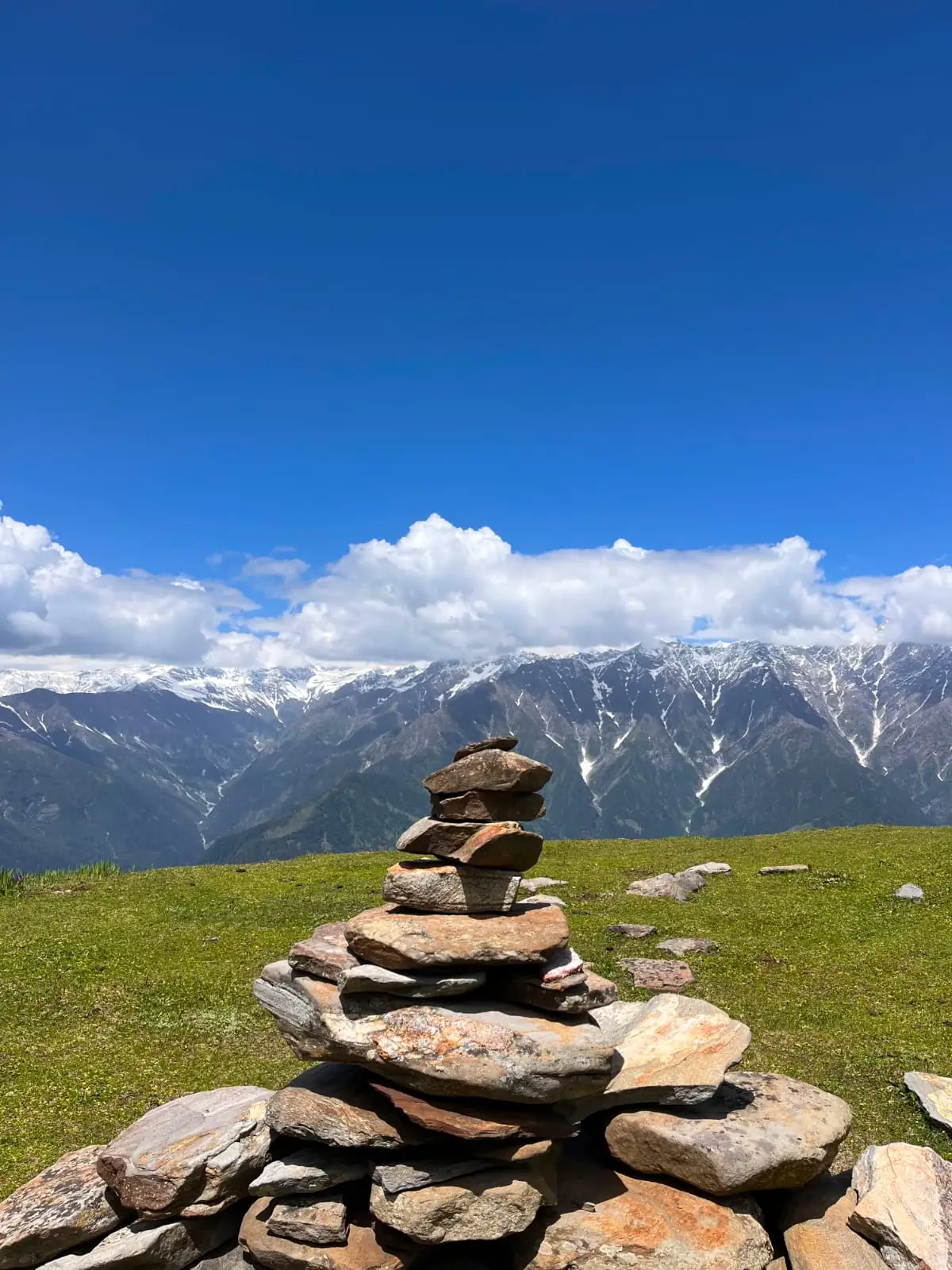 Bhrigu Lake Trek - trail through forests and snow